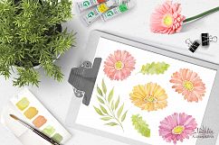 Watercolor set of gerbera flowers Product Image 2