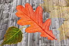 Autumn Leaves - Handcrafted Illustration Kit Product Image 3