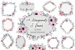 Arrangements &amp; Frames with peonies &amp; anemonies flowers Product Image 1