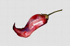 Red pepper vegetables PNG watercolor set Product Image 2