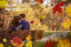 Falling Leaves PNG Overlays Product Image 1