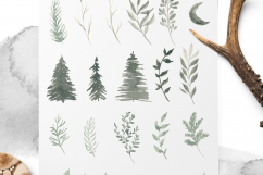 CONIFEROUS FOREST Product Image 5