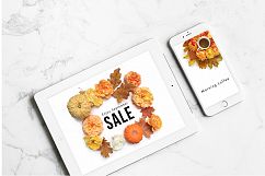 Autumn roses flat lay stock photos Product Image 2