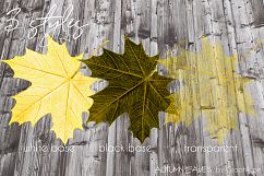 Autumn Leaves - Handcrafted Illustration Kit Product Image 2