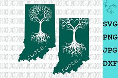 State Roots-All 50 States Product Image 14