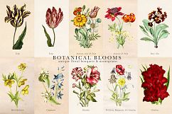 Botanical Blooms and Monograms Product Image 6