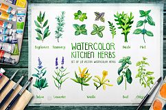 Watercolor Herbs Product Image 1