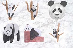 Hand Drawn Watercolor Panda Clipart Product Image 2