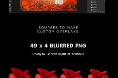 66 Poppie Flowers Photo Overlays Product Image 3