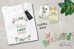 Wonderland Frames Borders Painted Winter Christmas Holly Red Product Image 4