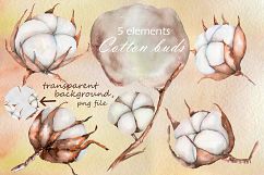 Cotton watercolor clip art Product Image 5