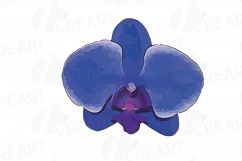 Colourful orchids watercolor clip art pack, leaves, flowers Product Image 6