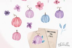 Pumpkin Huge Kit Pink Blue Watercolor Clipart Fall Package Product Image 11