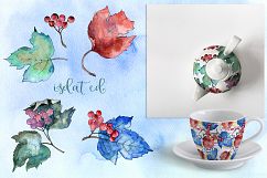 Watercolor viburnum PNG leaves set   Product Image 2