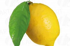 Watercolor lemons, branch and leaves clip art pack, watercolor lemon clip art, exotic fruit, png, pdf, jpg, svg, eps, vector files included. Product Image 2