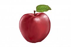 realistic apple hand painting vector Product Image 1