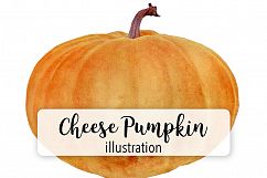 Cheese Pumpkin Product Image 1