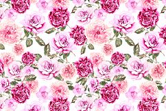 14 Hand drawn watercolor patterns Product Image 16
