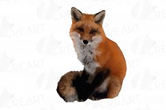 Red Fox Watercolor clip art, woodland watercolor fox, png Product Image 7