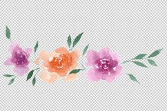 Delicate colorful peony PNG watercolor set Product Image 13