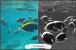 Infrared Monochrome Master Profiles LR7.3 ACR10.3 Product Image 16