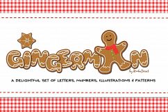 Christmas Super Bundle of Patterns and Illustrations Product Image 4