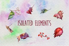 Autumn viburnum leaf PNG watercolor set Product Image 5