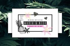 New Tropics. 111 graphic elements Product Image 4