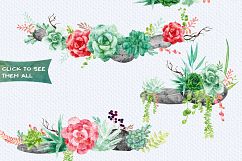 Succulents Watercolor Illustrations, Patterns &amp; Frames Product Image 4