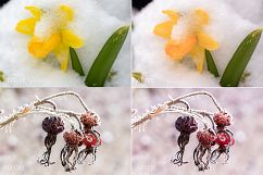 Winter Lr Presets Product Image 3