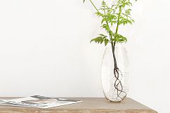 interior mockups bundle, stock photo Product Image 6
