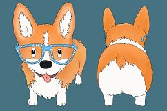 Corgi Dog with Glasses | Front and Rear view | PNG/JPEG Product Image 1