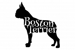 Boston Terrier Product Image 2