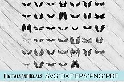 40 Sets of Wings Svg Cutting Files Product Image 1