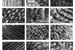 Only Ink &amp; Marble Backgrounds Bundle Product Image 18