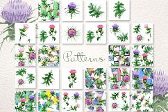 Cool Thistle PNG watercolor set Product Image 5