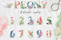 Alphabet clipart Watercolor alphabet Digital alphabet Letters clipart Floral alphabet Peonies alphabet Romantic clipart Monogram Numbers Product Image 3