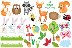 Woodland clipart, Woodland animal graphics &amp; Illustrations Product Image 2