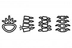 Spine icons set, outline style Product Image 1