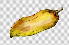 Green and yellow pepper vegetables PNG watercolor set Product Image 2