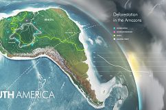 Illustrations of the World with Infographics Product Image 5