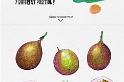 watercolor fruits vol. 6 Product Image 2