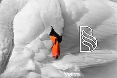Swan Typographic Letter A-Z Alphabet SVG PNG EPS AI Product Image 2