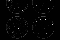 Star Patterns Product Image 2