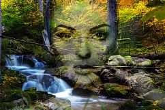 Camouflage Photoshop Action Product Image 4