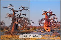 Fuji Film Simulation Modes Profiles LR 7.3 ACR 10.3 Product Image 22