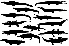 Crocodilians Product Image 1
