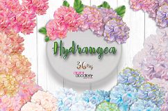 Ultimate Hydrangeas  Product Image 4