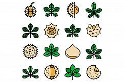 Chestnut icons set vector flat Product Image 1