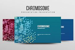 Chromosome PPT Product Image 1
